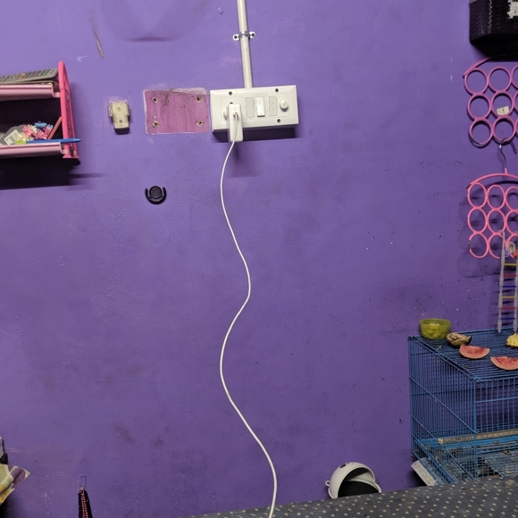 NWT - Picture 7 of 16